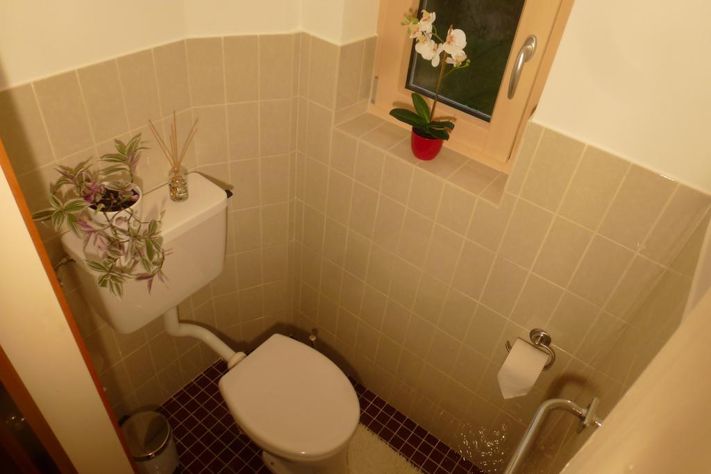 Apartment Heidelinde กมุนเดน ภายนอก รูปภาพ