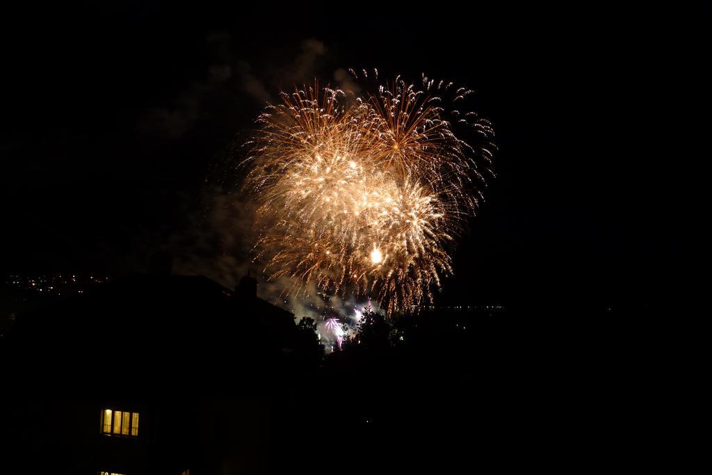 Apartment Heidelinde กมุนเดน ภายนอก รูปภาพ